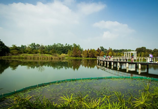 香港濕地公園及尖鼻咀