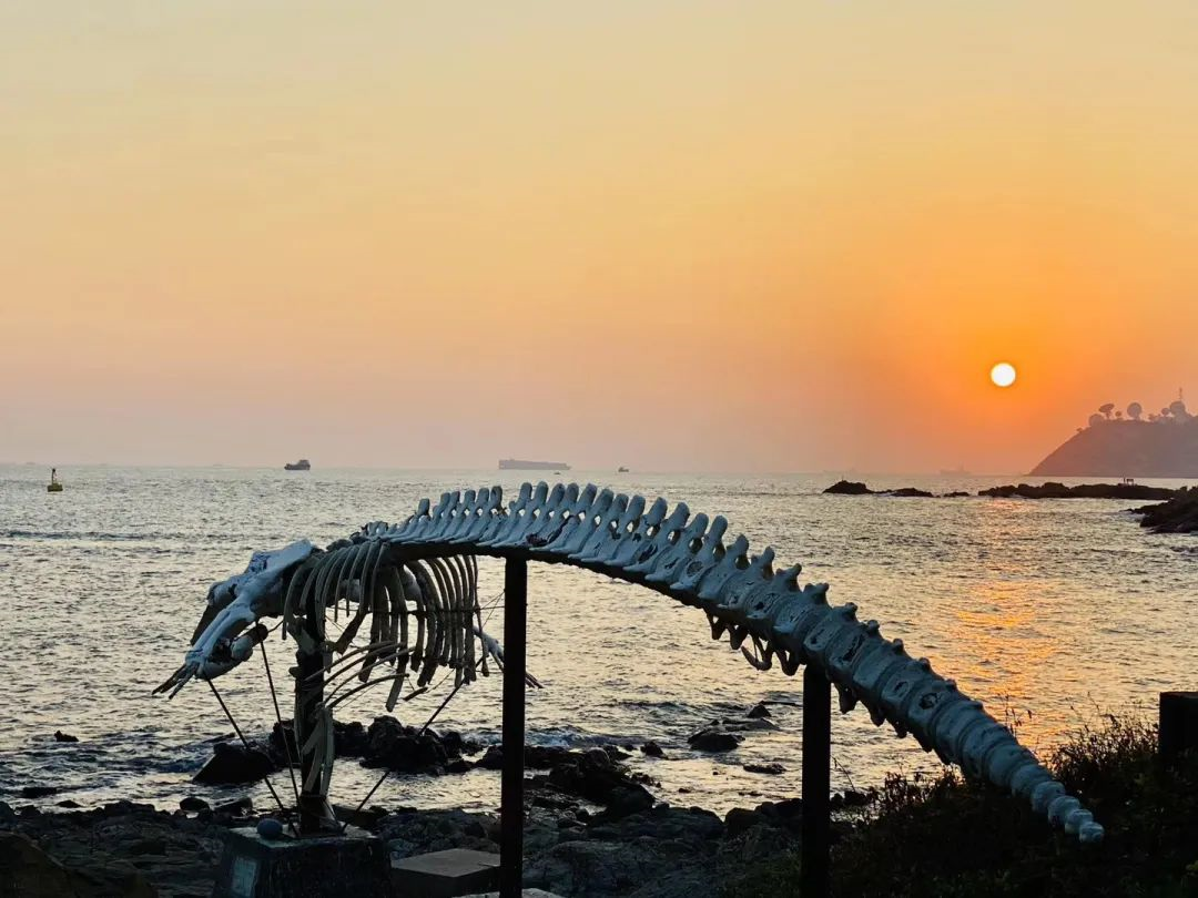 遠離快節奏的香港市區生活，去海邊，去童話裏的彩色，優哉游哉