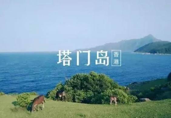 清新休閒之旅套票